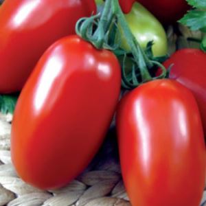 uMHpCjozBdJoyopeKzANqg8sVJ8jxKJy300_300-1