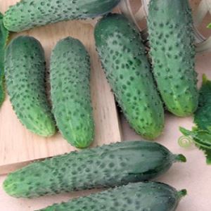 w3MOoyogyoNoT8pyEXvXkXbFc4QXflO4300_300-1