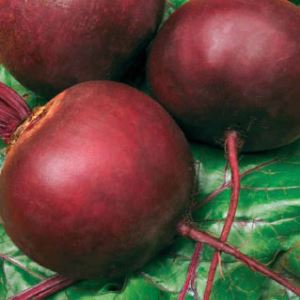 wN7VqGrBQ0yQY1c5rzV9dtUEV5lECero300_300-1