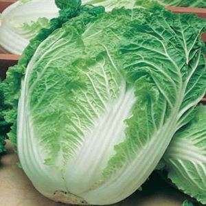 xFuaEVIPQcymQdrZWIxKGksW5Awy8Nnb300_300-1