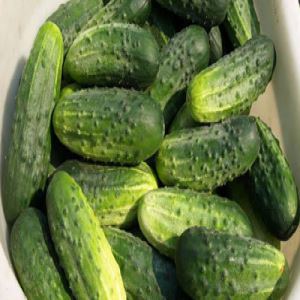 xQT5oPt51jfbreTpWhQiL00TJJGaJpUx300_300-1