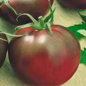 xRaDhpCUxY0JUIZvBeS7x3eVhTUAtz25300_300-1