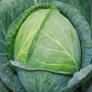 yxeHclLn6uSNdIYSYYofE4sJ1xmGoFxV300_300-1