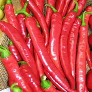 zbk43aERbIGJDjknNNPegJDgoZrUoDwE300_300-1