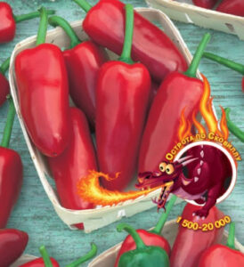 zwbEZq9aw2mZrhfTR8B0j1eipvhqeXY7