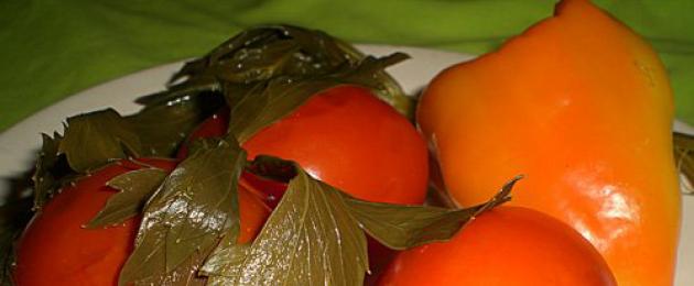 Как солить помидоры простым посолом на зиму. Соленые помидоры на зиму: копилка витаминов. Простые и вкусные варианты приготовления соленых помидоров на зиму.